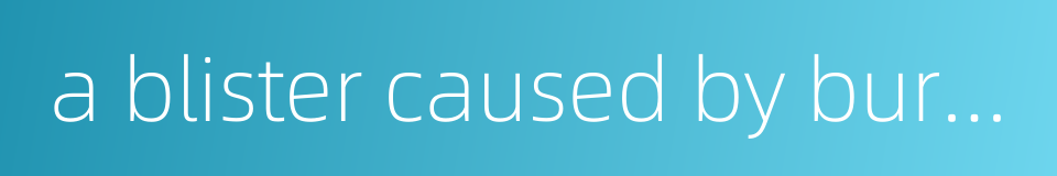 a blister caused by burning的同义词