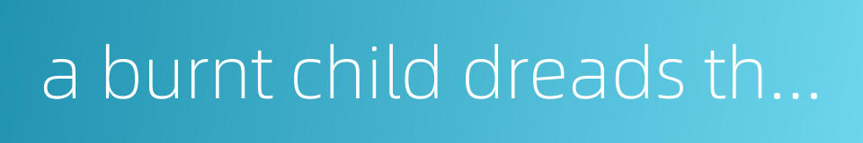 a burnt child dreads the fire的同义词