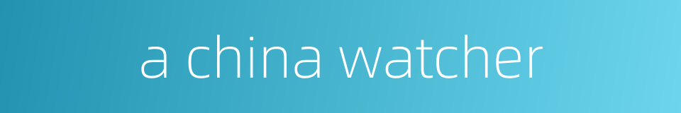 a china watcher的同义词