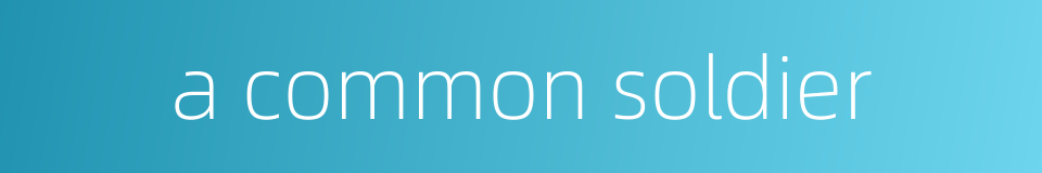 a common soldier的同义词