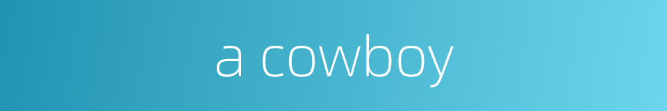 a cowboy的同义词