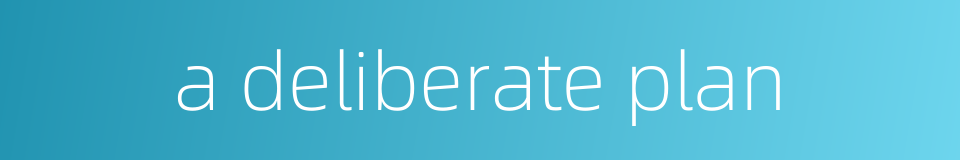 a deliberate plan的同义词