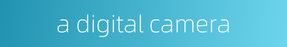 a digital camera的同义词