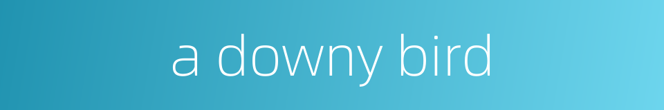 a downy bird的同义词