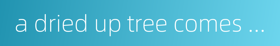 a dried up tree comes to life again的同义词