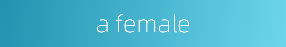 a female的同义词