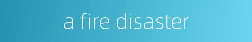 a fire disaster的同义词