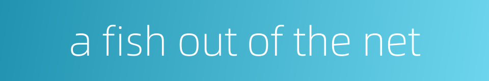 a fish out of the net的同义词