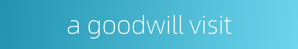 a goodwill visit的同义词