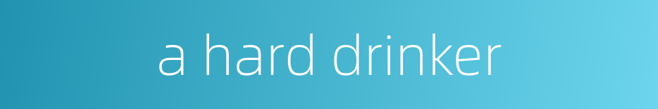 a hard drinker的同义词