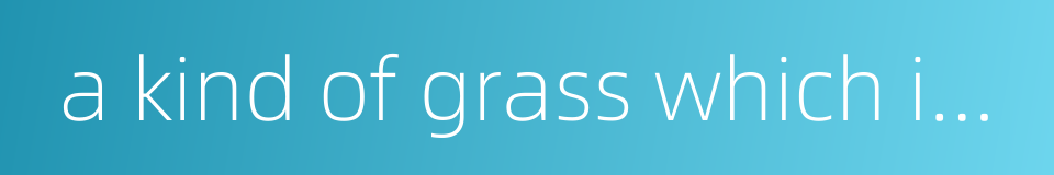 a kind of grass which is like barnyard grass的同义词