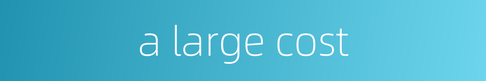 a large cost的同义词