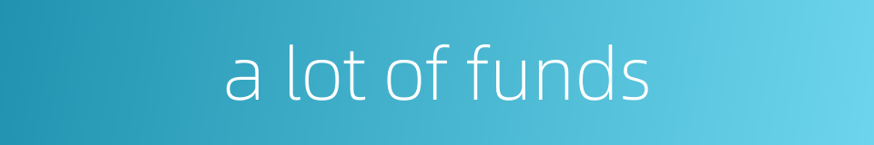 a lot of funds的同义词