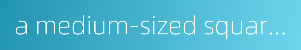 a medium-sized square table的同义词