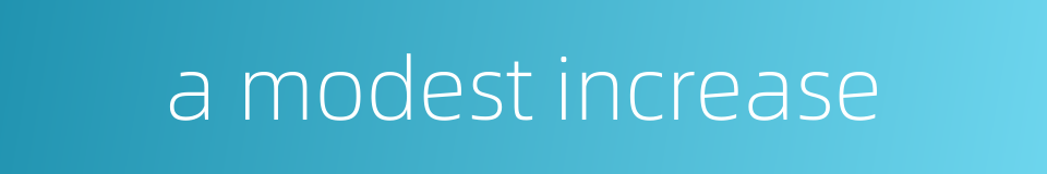 a modest increase的同义词