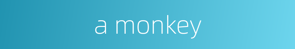 a monkey的同义词