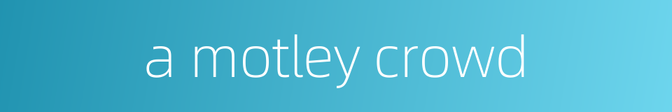 a motley crowd的同义词
