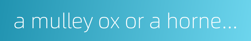 a mulley ox or a horned horse的同义词