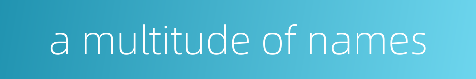 a multitude of names的同义词