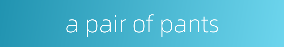 a pair of pants的同义词