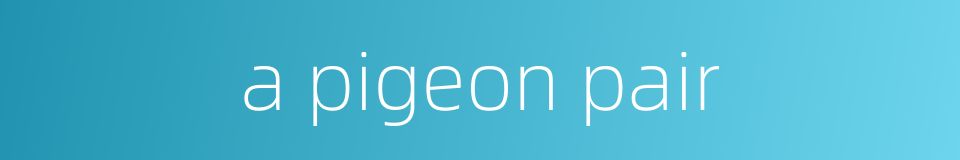 a pigeon pair的同义词