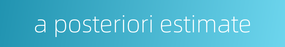 a posteriori estimate的同义词