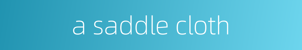 a saddle cloth的同义词