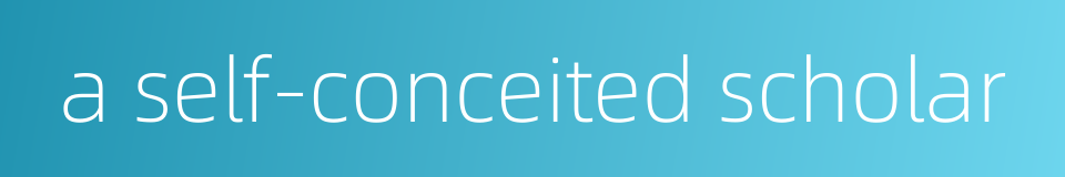 a self-conceited scholar的同义词