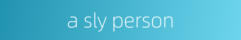 a sly person的同义词
