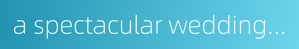 a spectacular wedding ceremony的同义词
