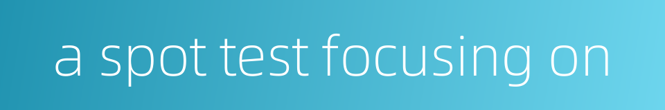 a spot test focusing on的同义词