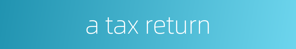 a tax return的同义词