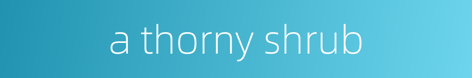 a thorny shrub的同义词