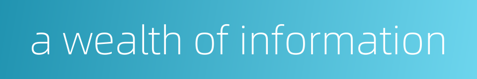 a wealth of information的同义词