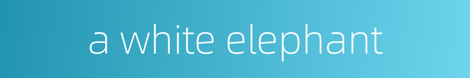 a white elephant的同义词