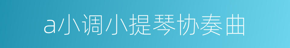 a小调小提琴协奏曲的同义词