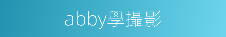 abby學攝影的同義詞