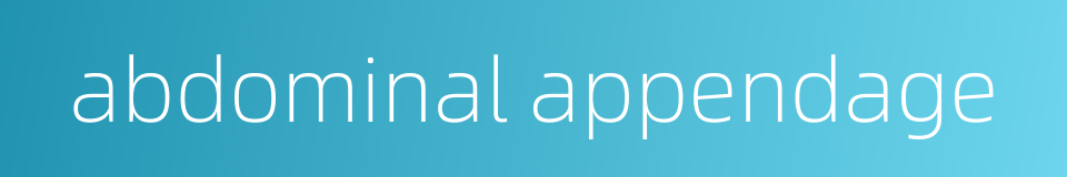 abdominal appendage的同义词