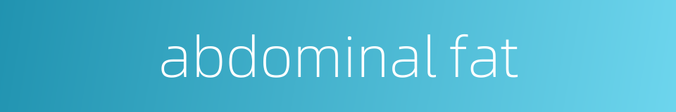 abdominal fat的同义词