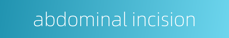 abdominal incision的同义词