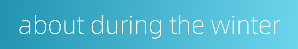 about during the winter的同义词