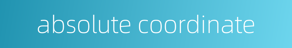 absolute coordinate的同义词