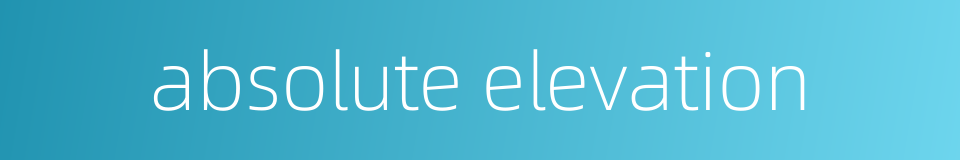absolute elevation的同义词