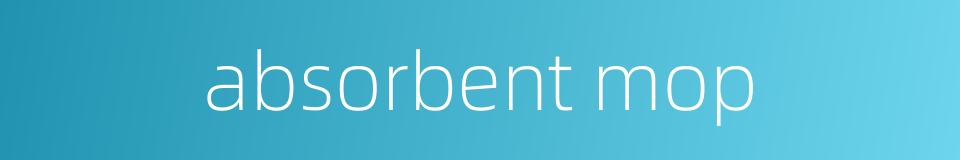 absorbent mop的同义词