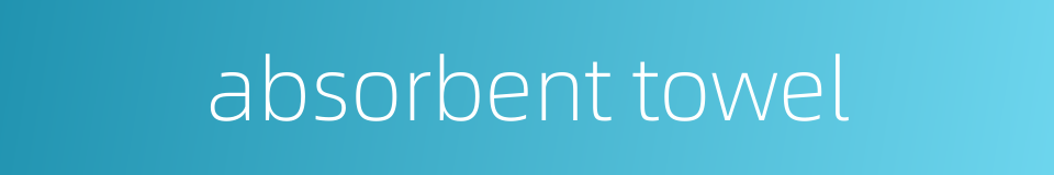absorbent towel的同义词
