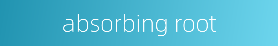 absorbing root的同义词