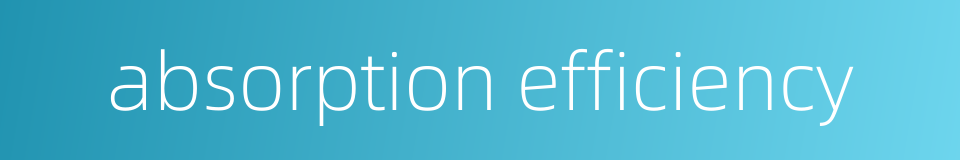 absorption efficiency的同义词