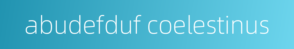 abudefduf coelestinus的同义词