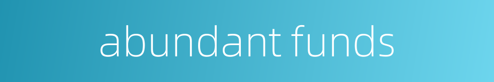 abundant funds的同义词
