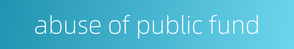 abuse of public fund的同义词